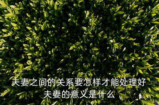 夫妻合伙人