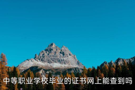 中等職業(yè)學(xué)校畢業(yè)的證書網(wǎng)上能查到嗎