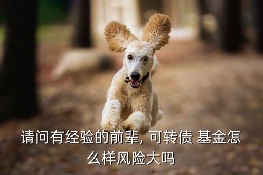 可轉(zhuǎn)債基金,興全可轉(zhuǎn)債基金