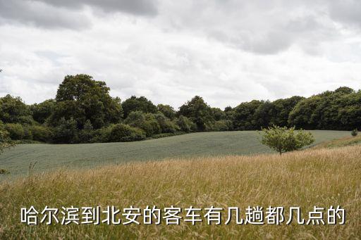哈爾濱南崗客運站