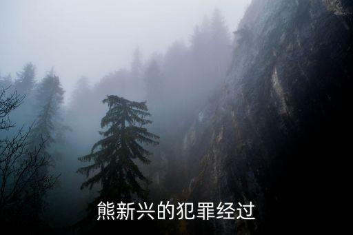 熊新興的犯罪經(jīng)過