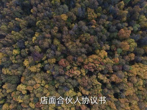 店面合伙人協(xié)議書
