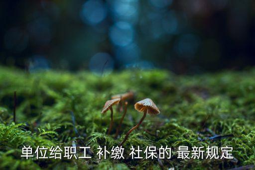 關(guān)于社保補(bǔ)繳最新政策,勞動(dòng)局24小時(shí)在線咨詢