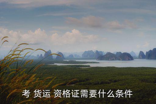 貨運(yùn)資格證