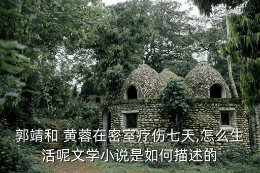 郭靖和 黃蓉在密室療傷七天,怎么生活呢文學小說是如何描述的