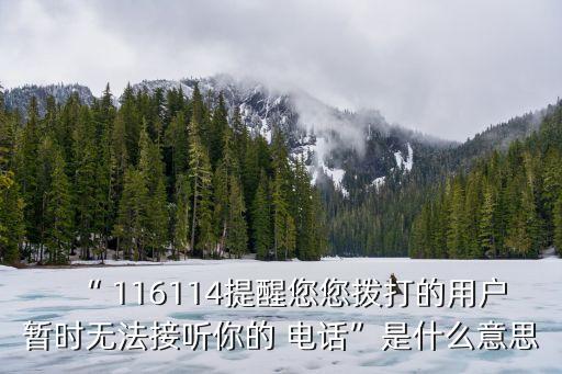 “ 116114提醒您您撥打的用戶暫時無法接聽你的 電話”是什么意思