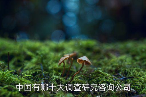 調(diào)查機構,組織直接購買專業(yè)薪酬調(diào)查機構