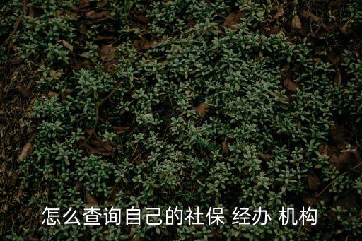 怎么查詢自己的社保 經(jīng)辦 機構(gòu)