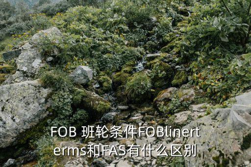 班輪條款,LIfo班輪條款