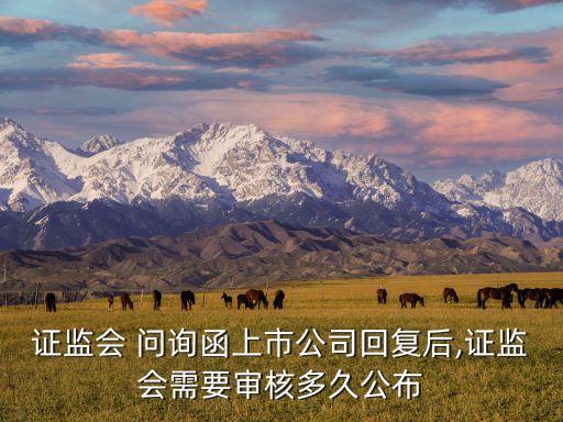 問詢函