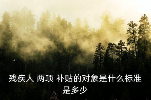 兩項(xiàng)補(bǔ)貼,全國(guó)殘疾人兩項(xiàng)補(bǔ)貼