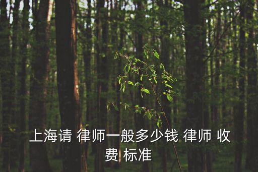 上海律師收費(fèi)標(biāo)準(zhǔn)2021,上海市律師收費(fèi)標(biāo)準(zhǔn)2023