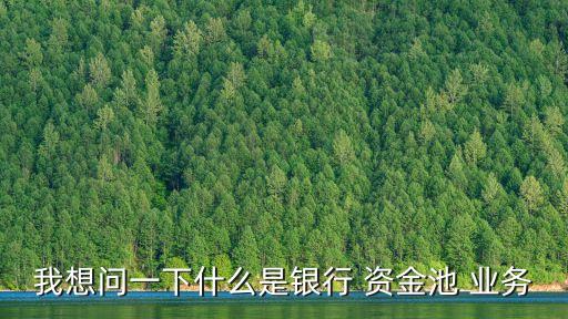 資金業(yè)務(wù),商業(yè)銀行資金業(yè)務(wù)
