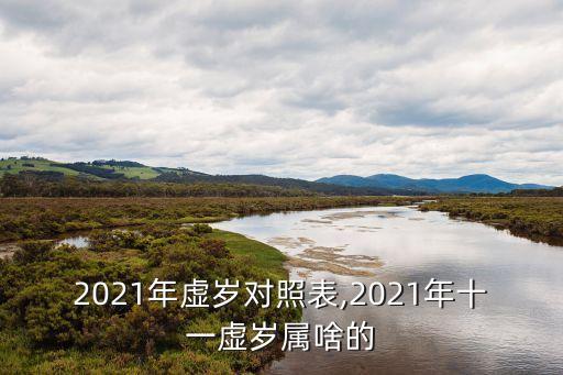 11歲屬什么,2022年11歲屬什么