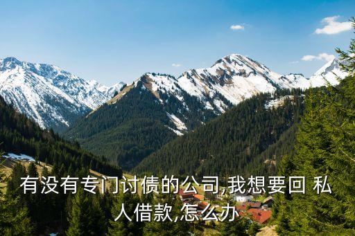 有沒有專門討債的公司,我想要回 私人借款,怎么辦