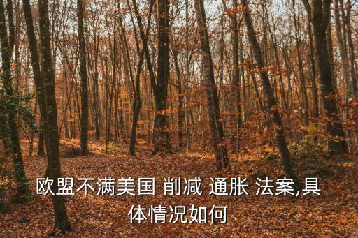 2022年通脹削減法案