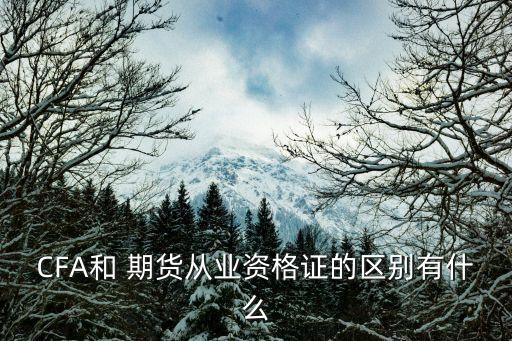期貨法