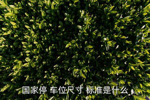 標(biāo)準(zhǔn)車位