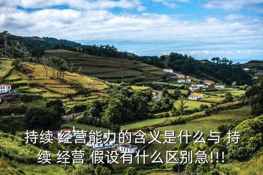 持續(xù)經(jīng)營(yíng)假設(shè)