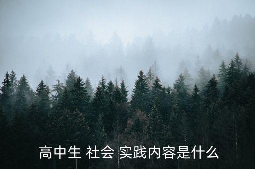 高中社會(huì)實(shí)踐活動(dòng)