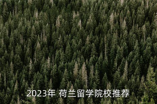 2023年 荷蘭留學(xué)院校推薦