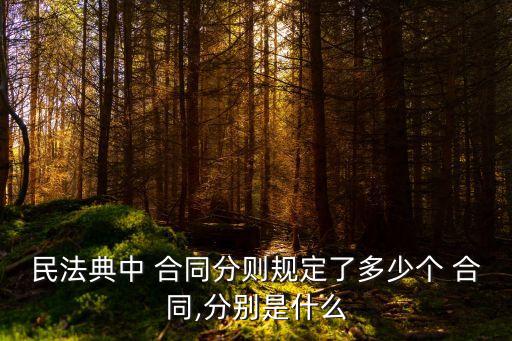 商鋪有多少種合同法律適用