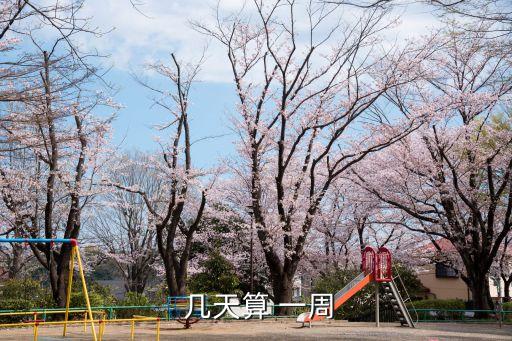 一周是幾天,醫(yī)學上懷孕一周是幾天