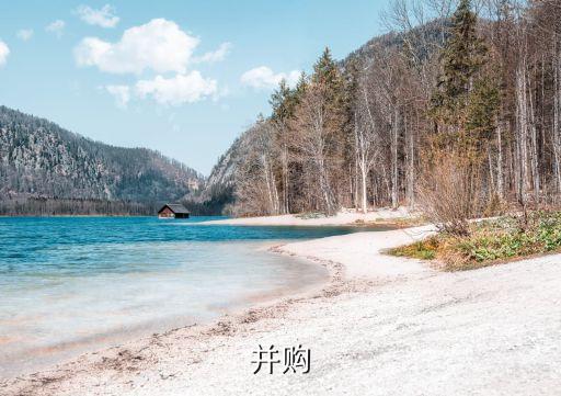跨國并購