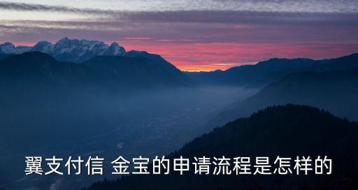 翼支付信 金寶的申請流程是怎樣的