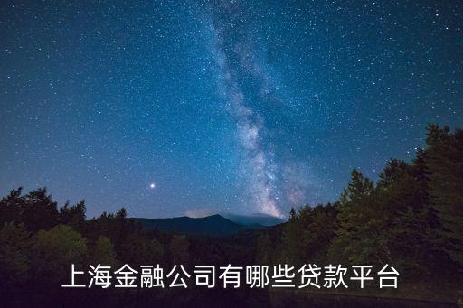 上海金融公司有哪些貸款平臺(tái)