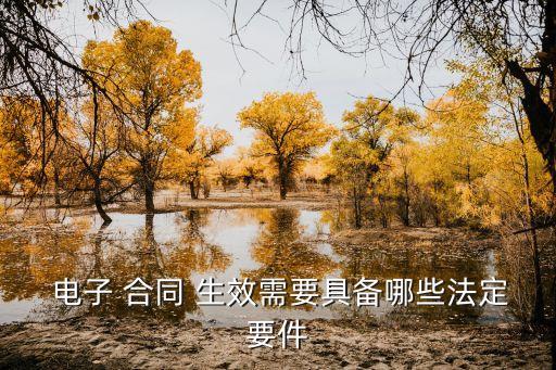  電子 合同 生效需要具備哪些法定要件