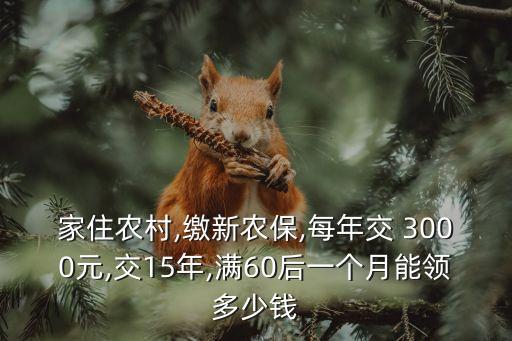 家住農(nóng)村,繳新農(nóng)保,每年交 3000元,交15年,滿60后一個(gè)月能領(lǐng)多少錢