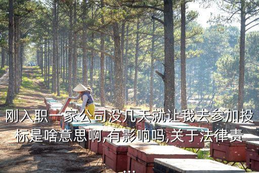民法典與招投標(biāo)法的關(guān)系,招投標(biāo)法在民法典中第幾條