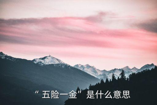 五險(xiǎn)一金指的是,社保哪幾種