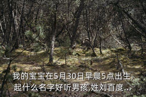 我的寶寶在5月30日早晨5點(diǎn)出生,起什么名字好聽男孩,姓劉百度...