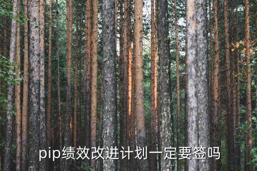 公司pip考核什么意思,PBP和PIP什么意思?