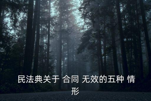  民法典關(guān)于 合同 無效的五種 情形