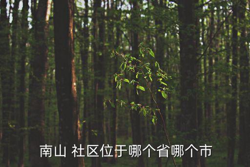 南山社區(qū),深圳南山社區(qū)