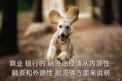 商業(yè) 銀行的 融資途徑請從內(nèi)源性 融資和外源性 融資倆方面來說明