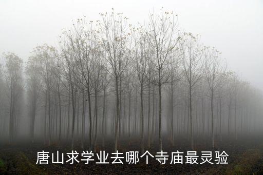  唐山求學(xué)業(yè)去哪個(gè)寺廟最靈驗(yàn)