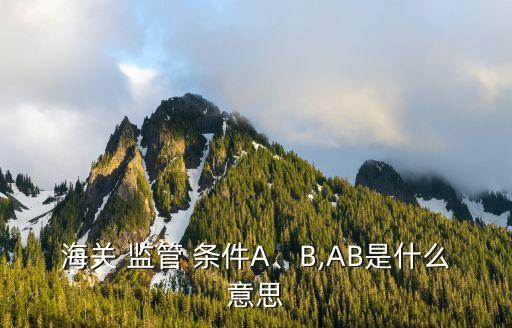 海關(guān) 監(jiān)管 條件A、B,AB是什么意思