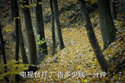 電視廣告投放