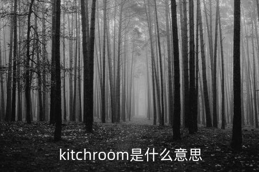  kitchroom是什么意思