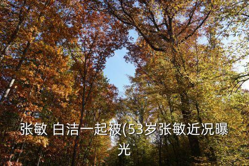 張敏 白潔一起被(53歲張敏近況曝光