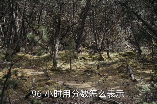 96小時(shí)是幾天,48小時(shí)是幾天呀