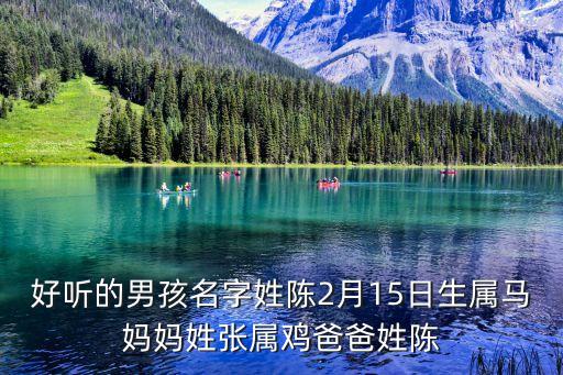 陳志飛
