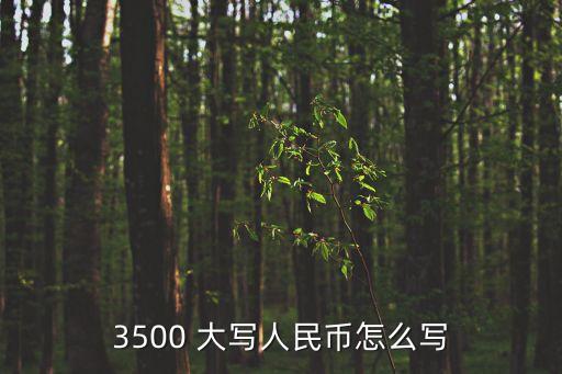 三千元大寫,二萬三千元大寫