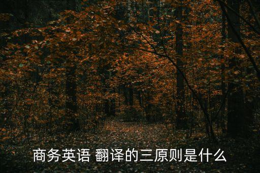 政治文本翻譯注意事項