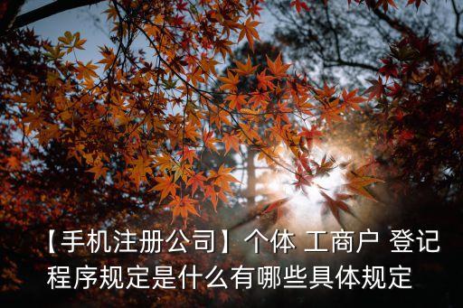 工商登記管理條例,企業(yè)工商登記