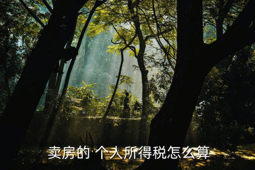 賣房個人所得稅